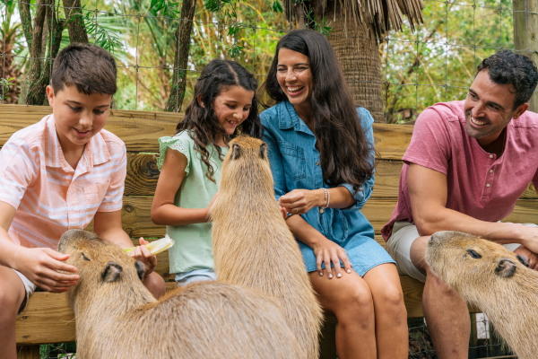 A family petting and feeding three capybaras as part of Wild Florida’s animal encounter.