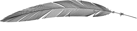 feather