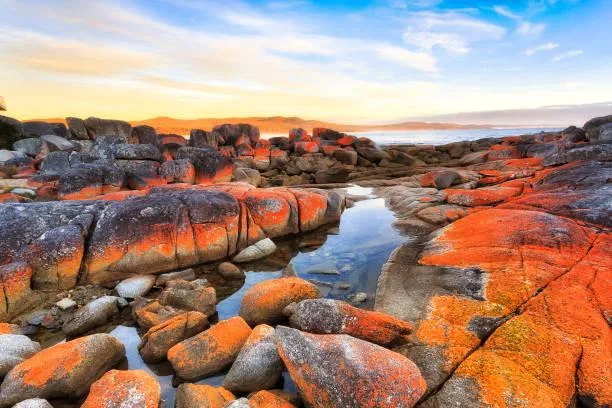 18 Glowing Horizons After Sunset, glowing horizon, dusk beauty, nature, landscape, soft afterlight, color fade