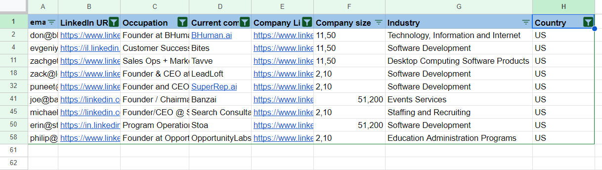 Enriched customer data of Sapiengraph's customers in Google Sheets