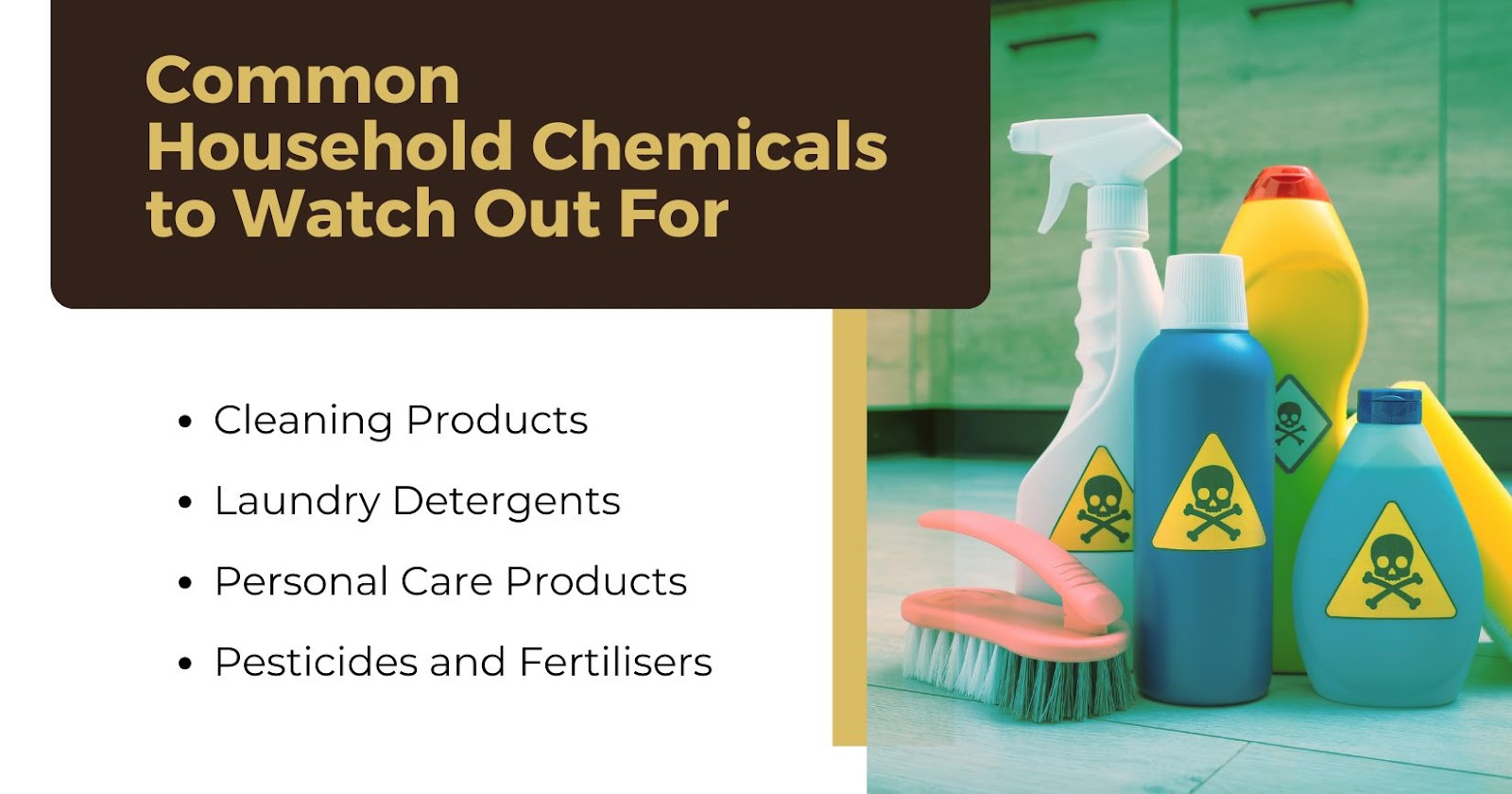 Common Household Chemicals to Watch Out For