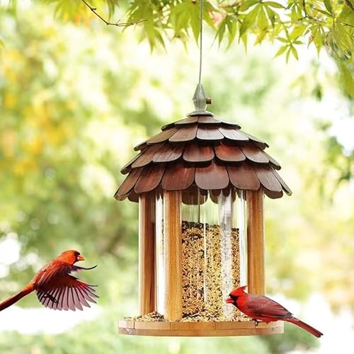 Delux Large Gazebo Bird Feeder for Outside, Going Green Bamboo Water Proof Shingle Roof, 5 Lbs Capacity, Premium Hardware, Squirrel Proof Materials- Assembled Version