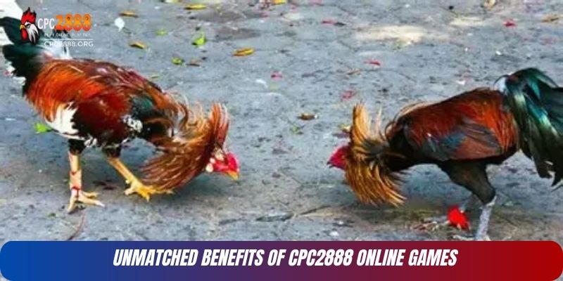 CPC2888 – A Premier Gaming Platform Setting for Quality