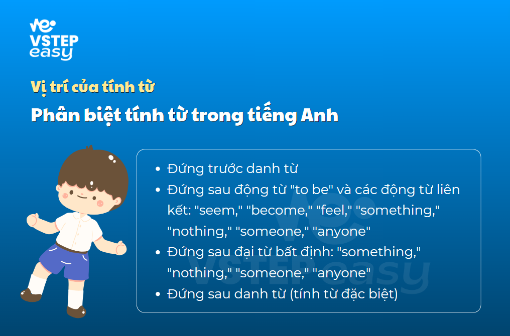 Vị trí của tính từ