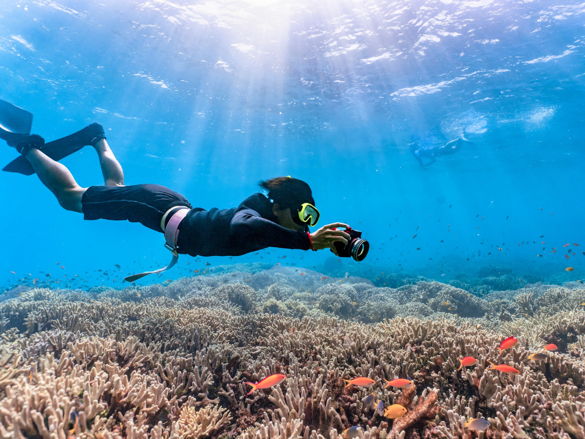 Koh Kood’s Underwater Wonders