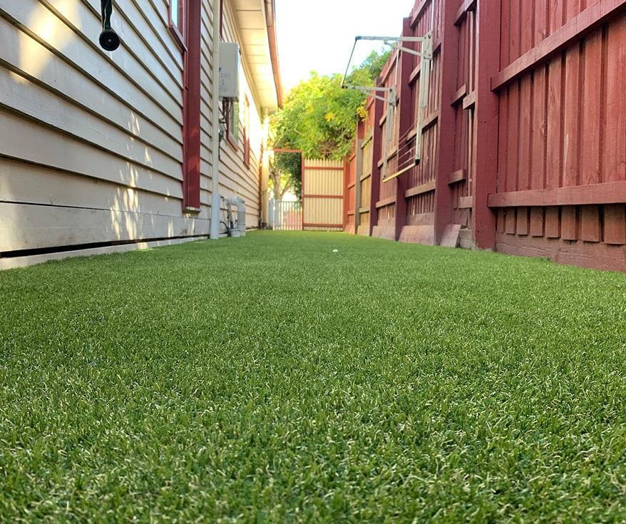 Artificial Grass