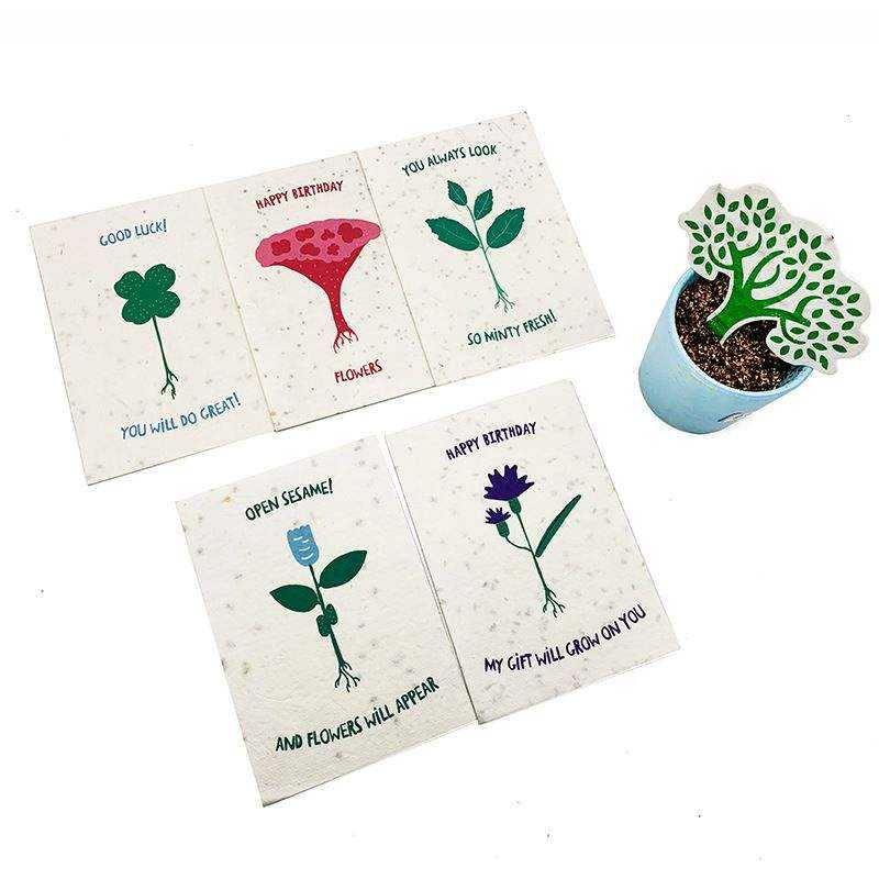 Seed Paper Cards