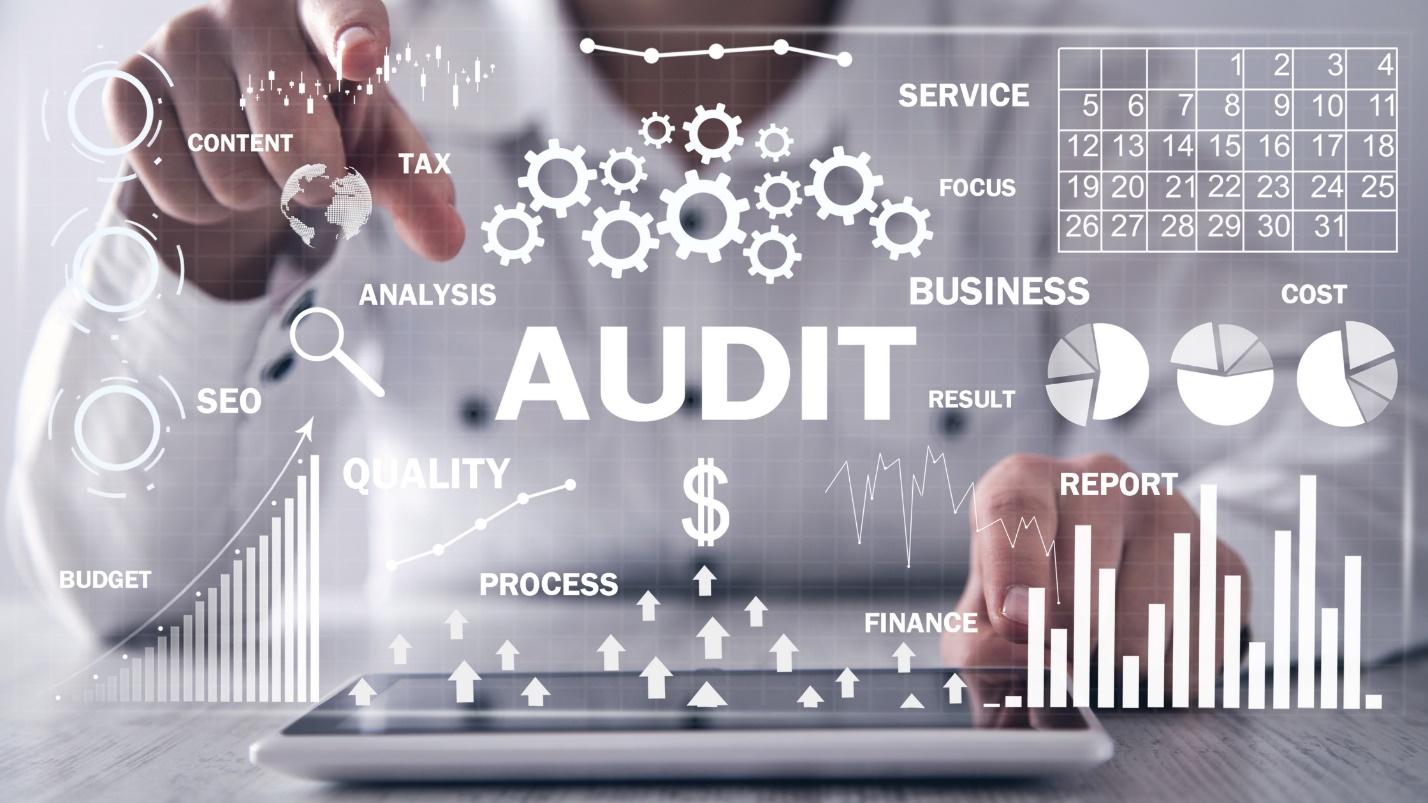 Codebase Audit