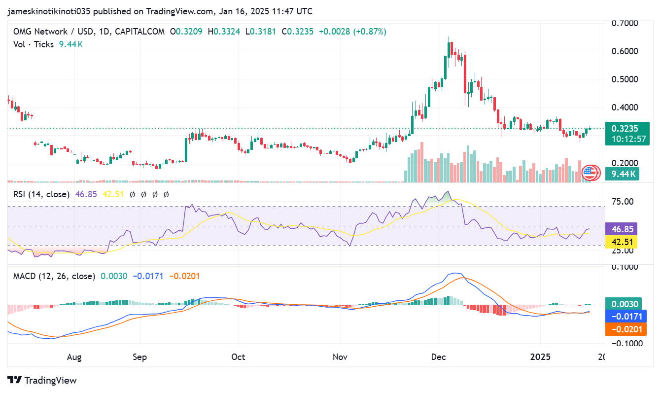 OMG Network price analysis 1-day chart