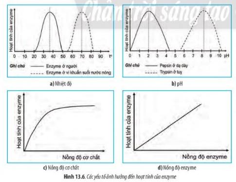 BÀI 13 - CHUYỂN HÓA VẬT CHẤT VÀ NĂNG LƯỢNG TRONG TẾ BÀO