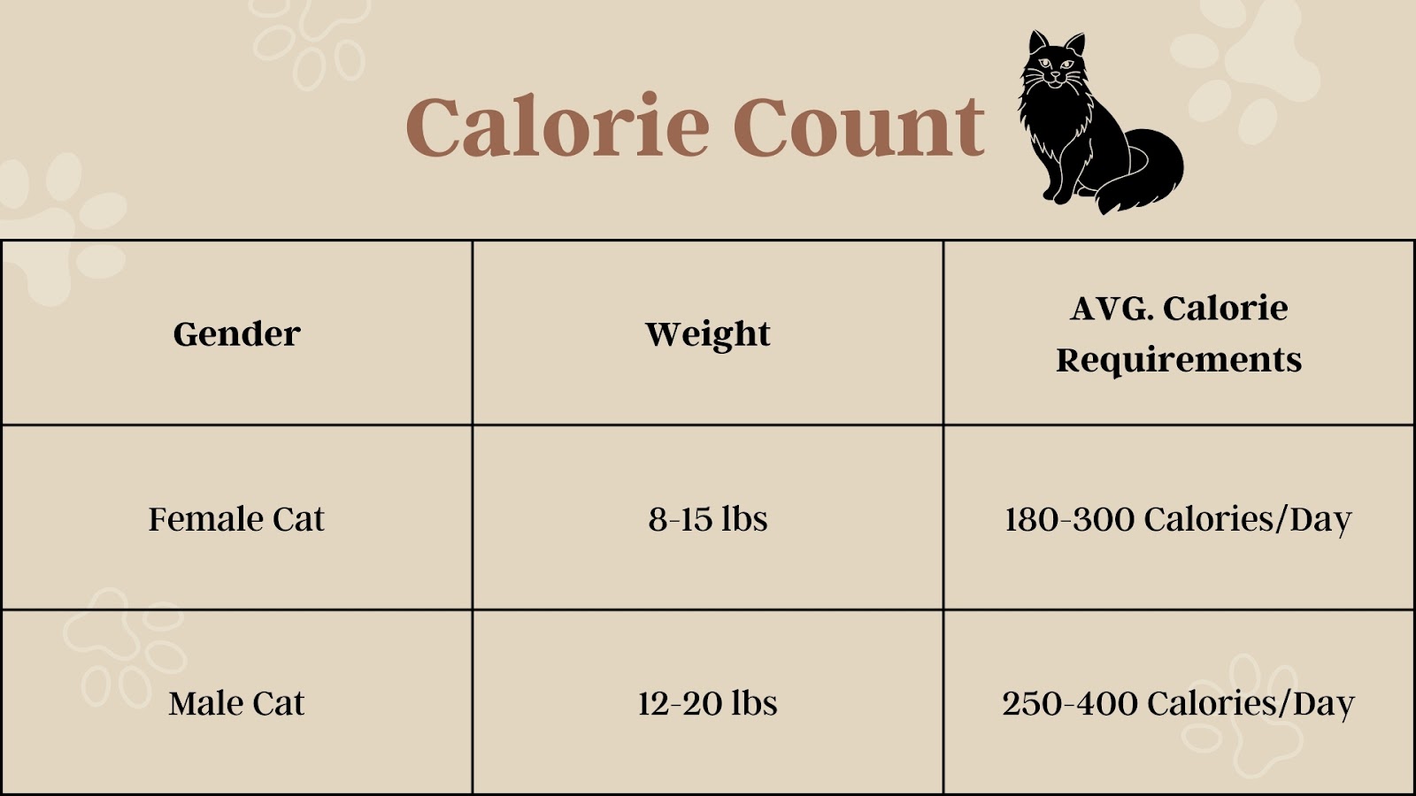 Black Ragdoll Cat Calorie Requirements