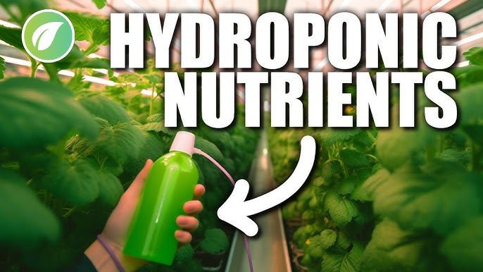 Hydroponic Nutrients