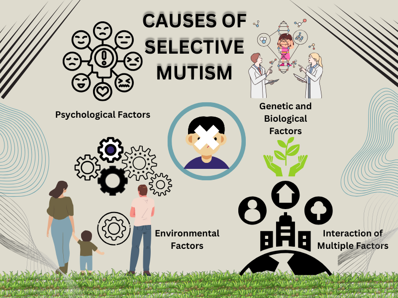 Infographic showing causes of Selective Mutism: psychological, genetic, environmental, and multiple factors.