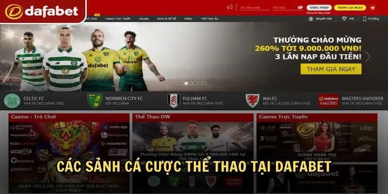 Dafabet Sports – Nơi Cá Cược Thể Thao Đáng Tin Cậy Nhất