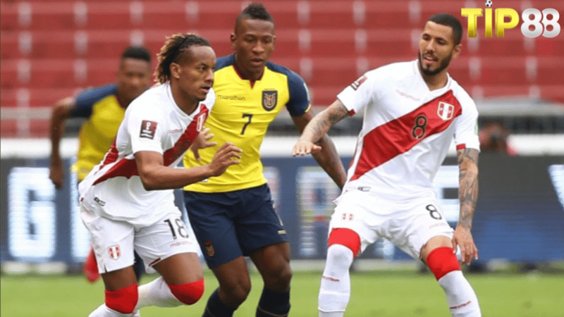 Lịch sử đối đầu Peru vs Ecuador  