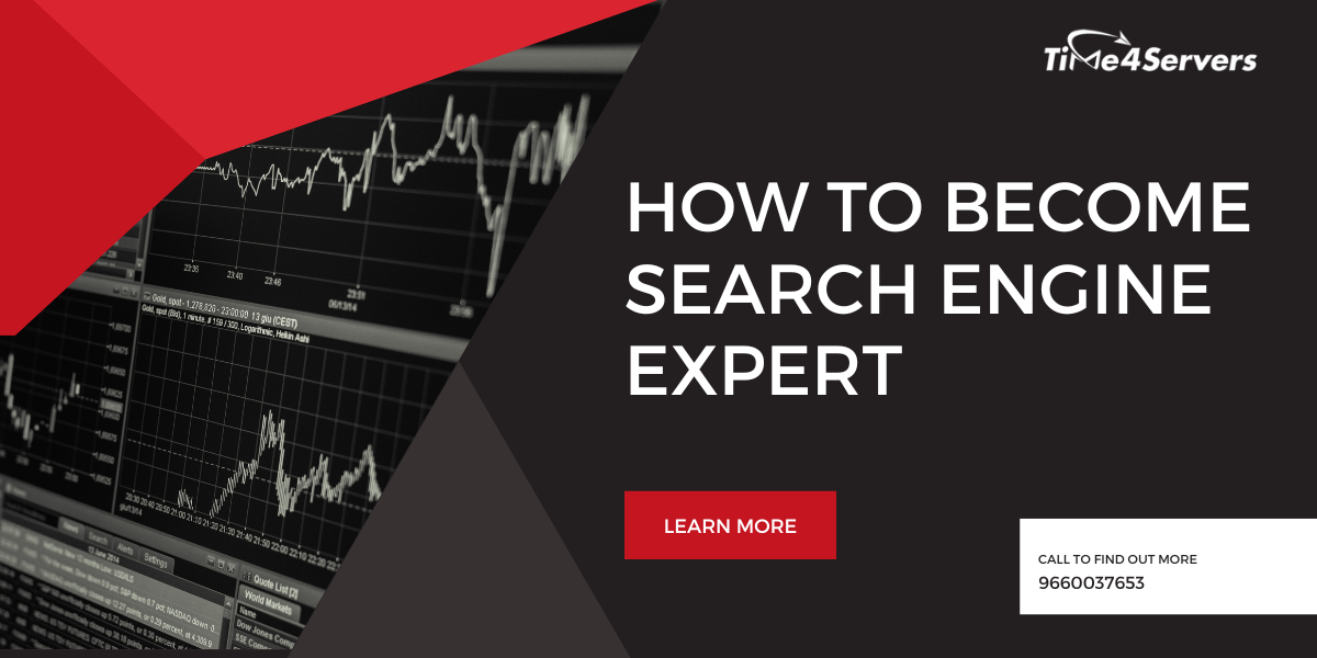 Search Engine Optimization Expert