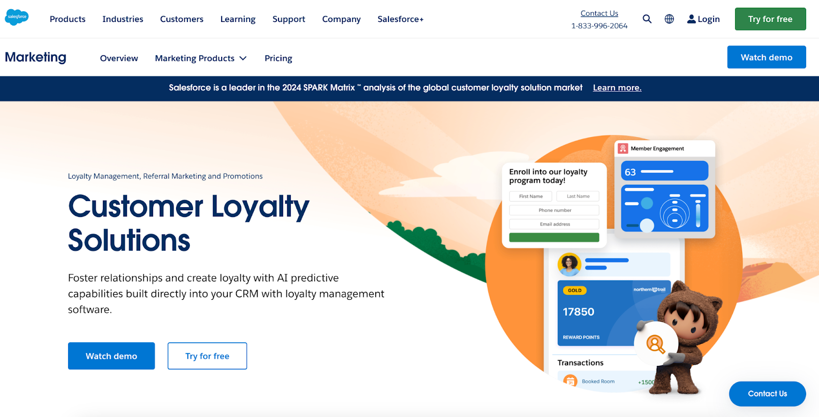 Salesforce loyalty management