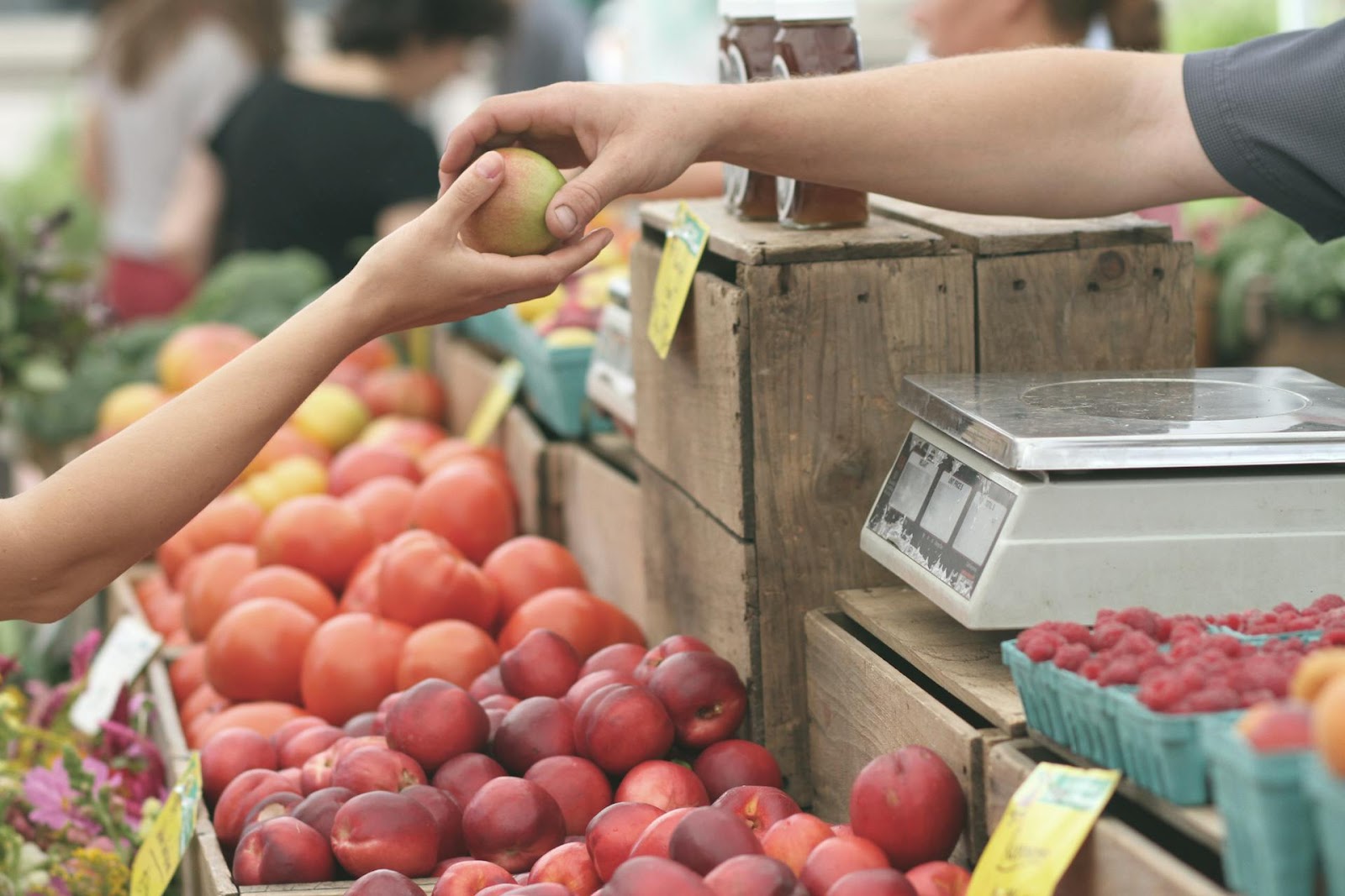 A close-up shot of a person handing a fruit to another person | Source: Pexels