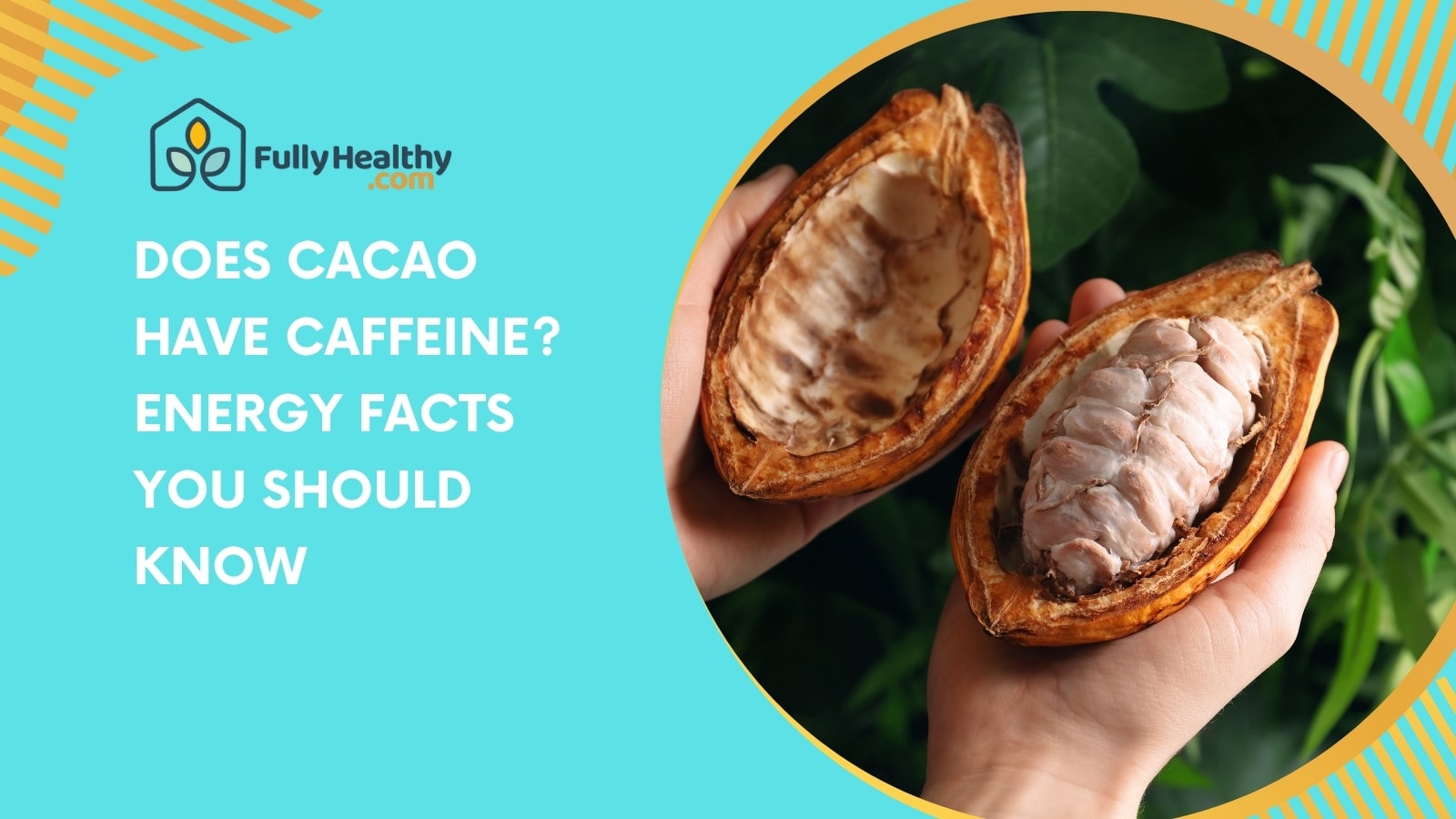 Does Cacao Have Caffeine? Energy Facts You Should Know