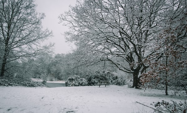 Wimbledon Common