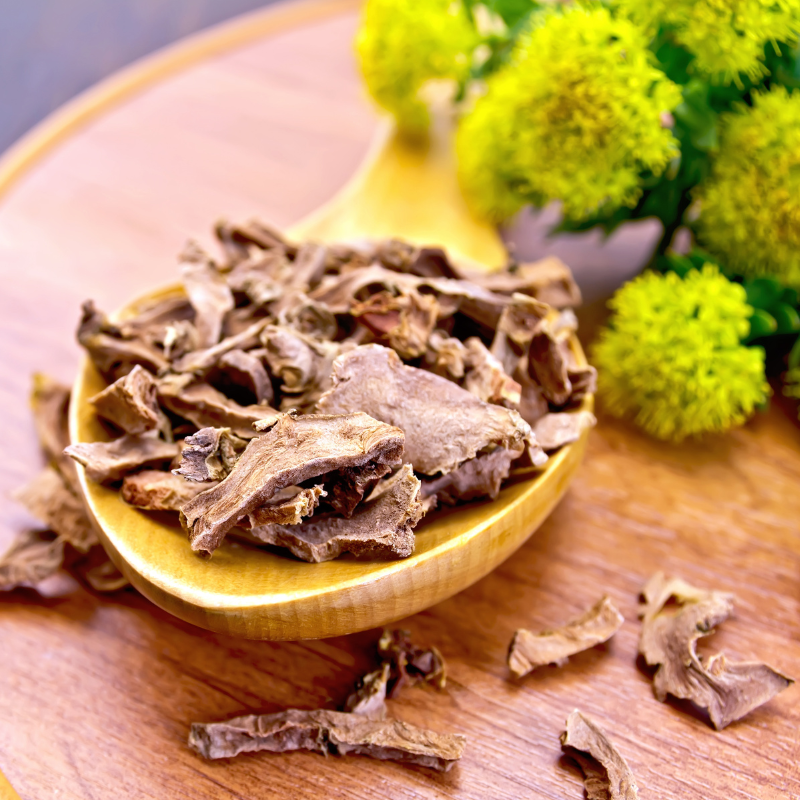Root dry of Rhodiola rosea in spoon on tray