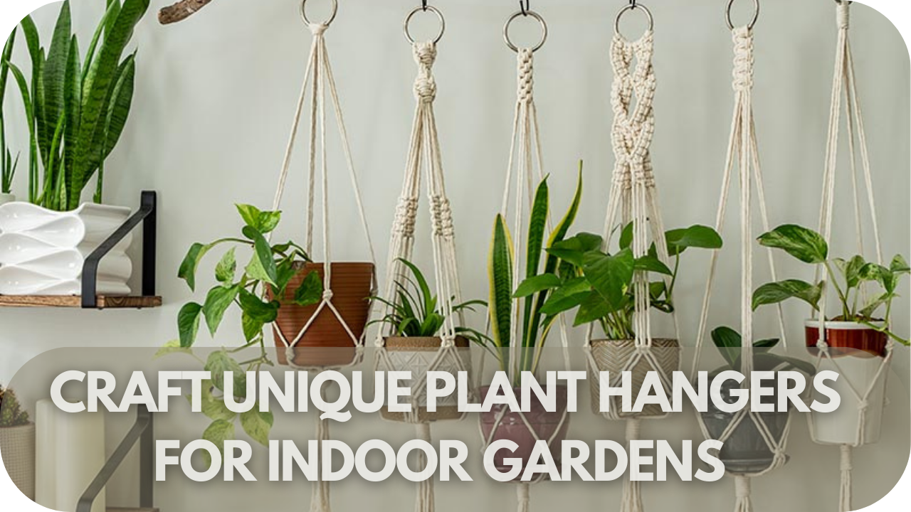 Craft Unique Plant Hangers for Indoor Gardens