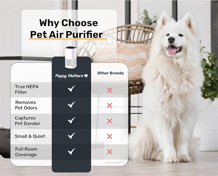A screenshot of Puppy Mothers as a pet brand looking influencers 