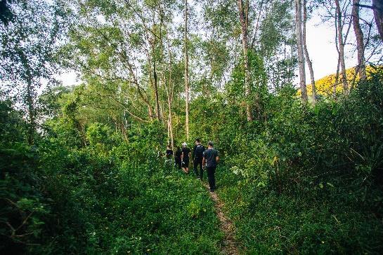 A group of people walking through a forest

Description automatically generated