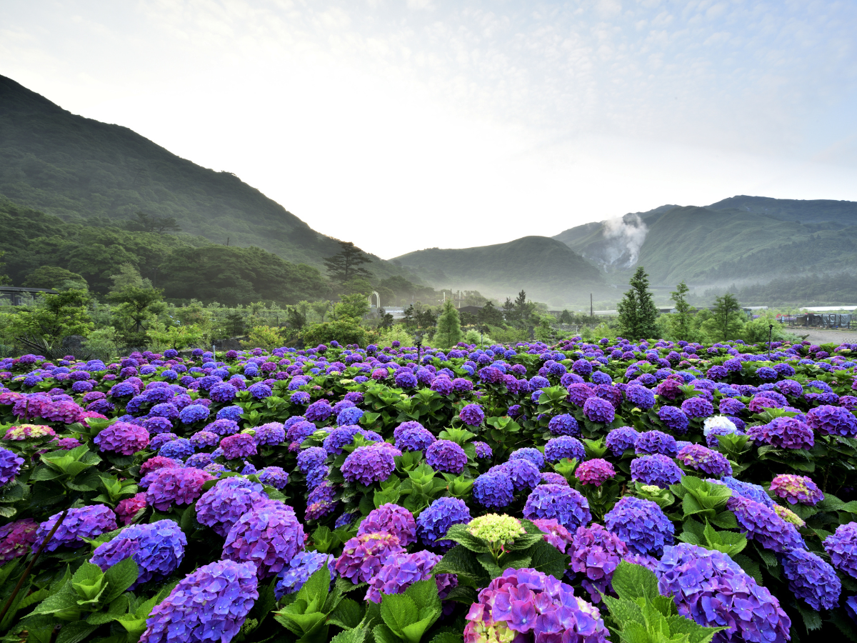 Yangmingshan National Park