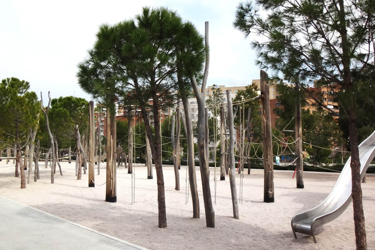 Trees and wood logs are on the ground create beautiful view