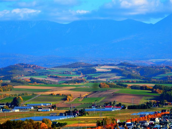 美瑛の紅葉＃４　ＣＭ・ドラマで見たあの風景