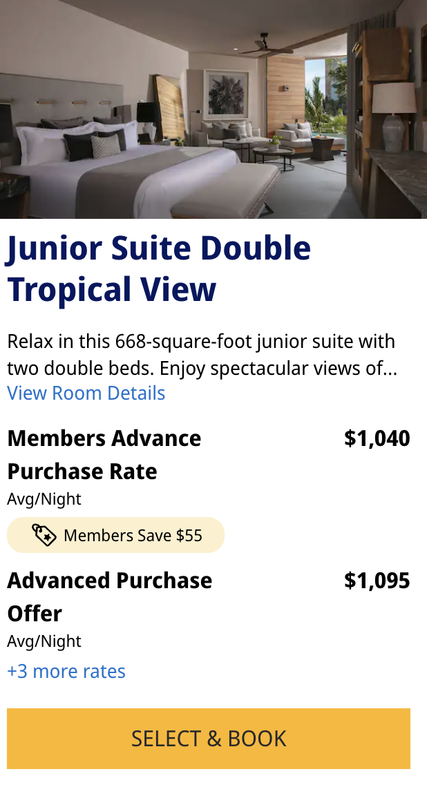 Junior Suite Double Tropical View