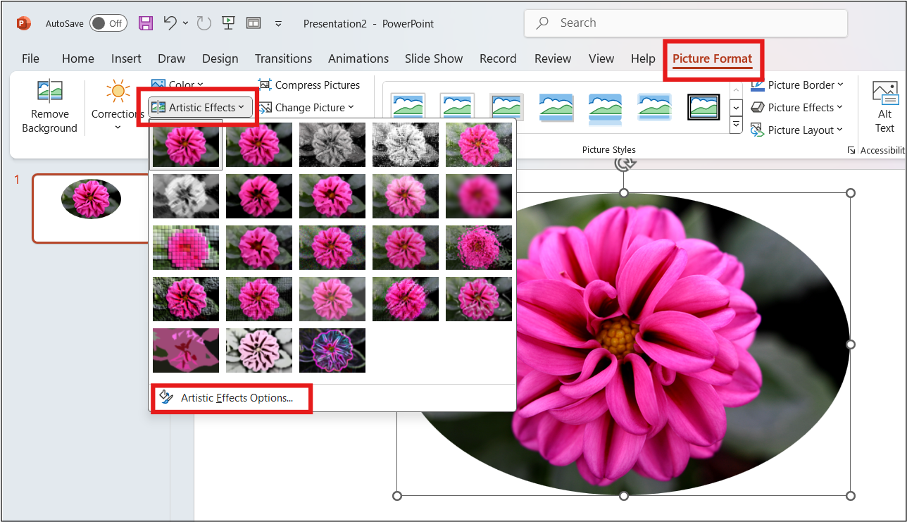 Artistic Effects Option in PowerPoint under the Picture Format menu