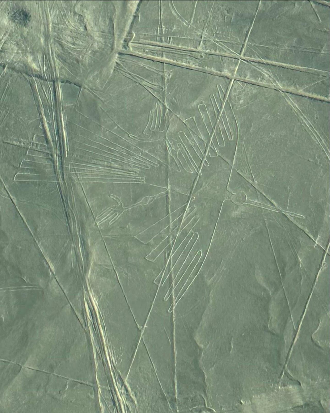 Nazca Lines