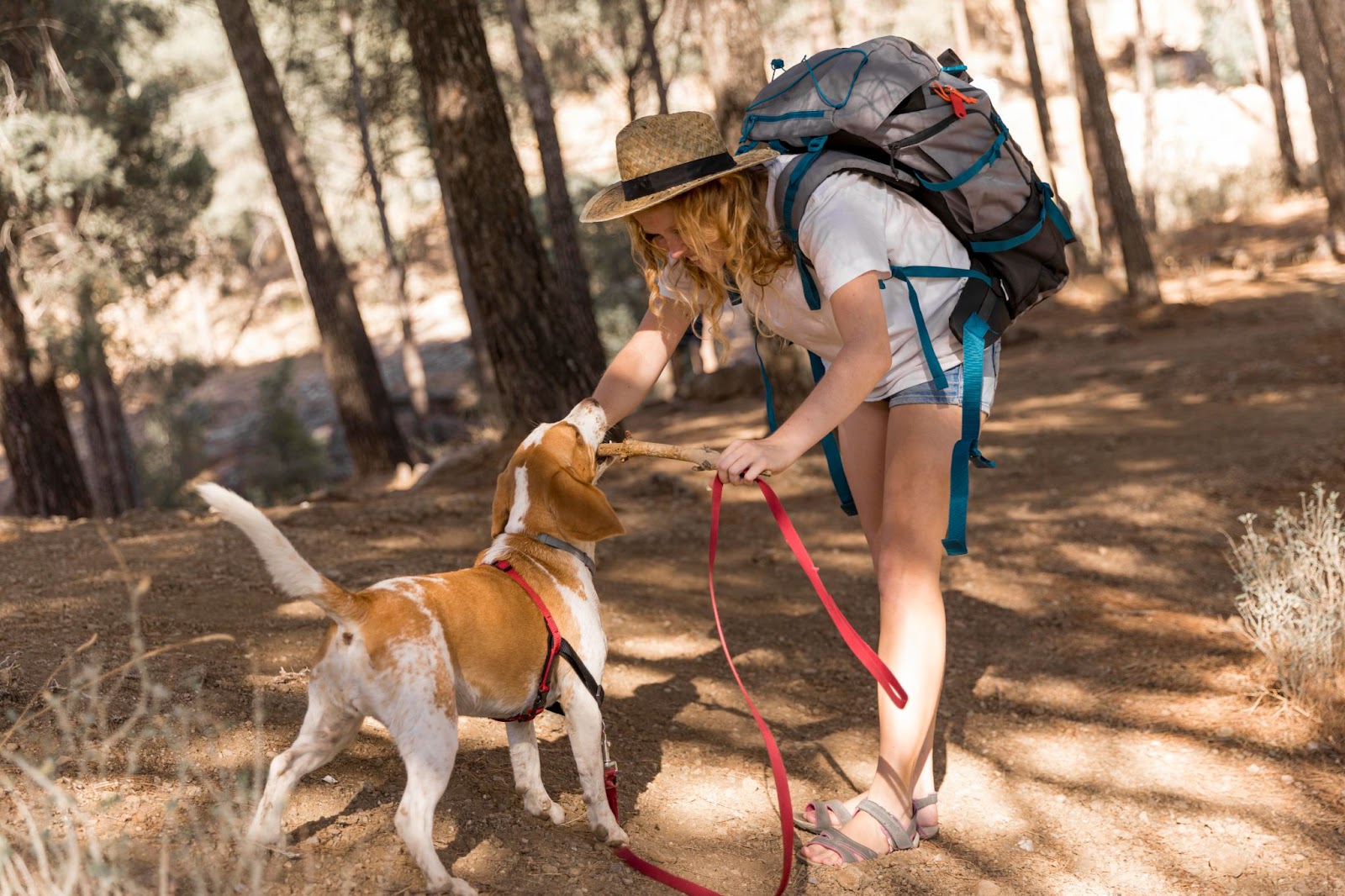 Femme jouant avec son chien en laisse sur un sentier en forêt à Val-David