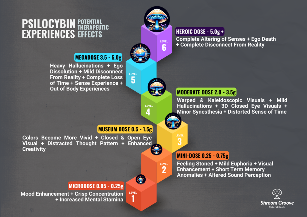 Psilocybin Experiences Potential Therapeutic Effects Infographic