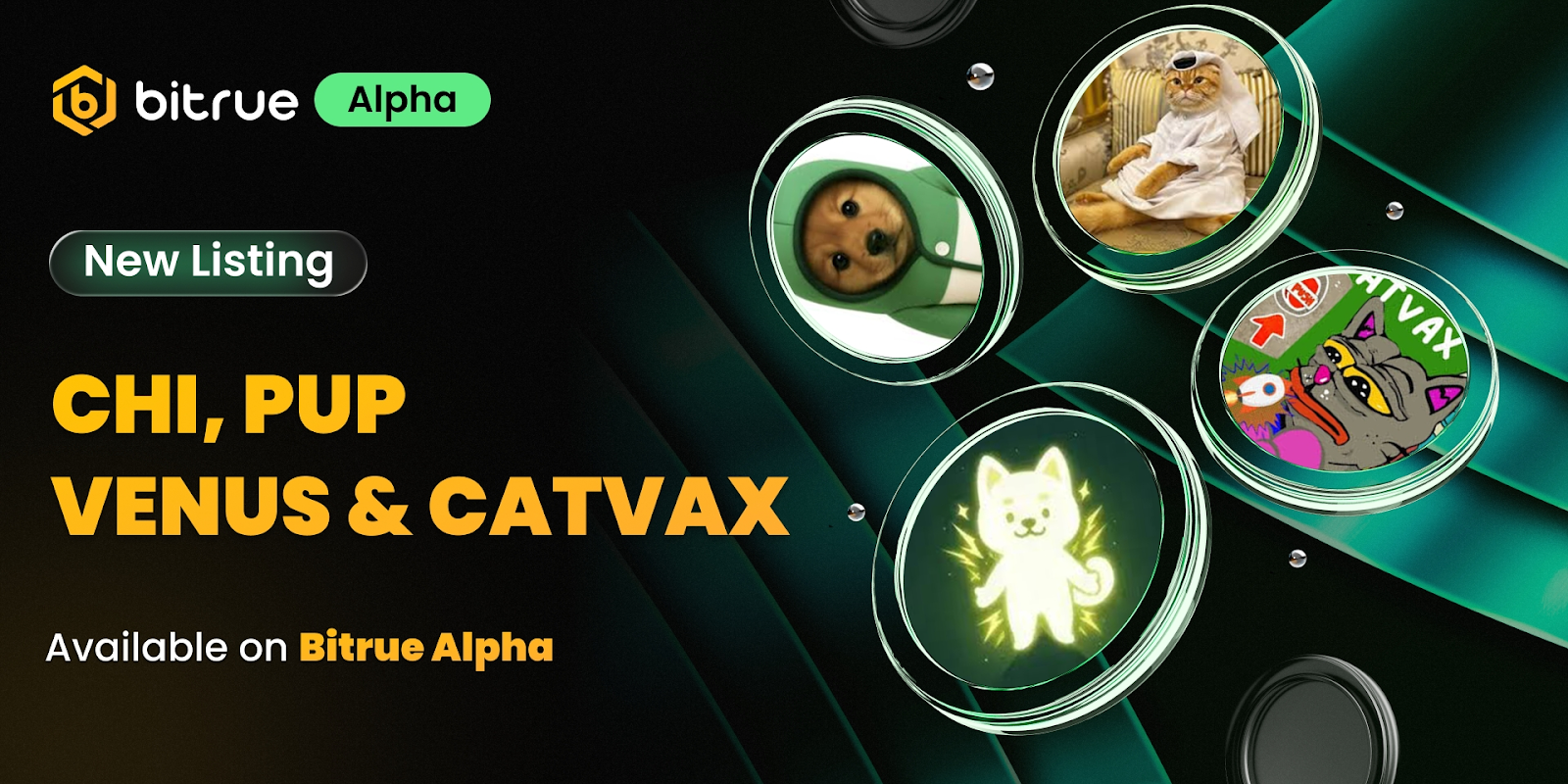 catvax bitrue alpha listing