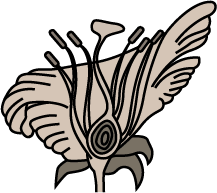In the figure of a flower given in figure, label the parts whose functions  are given below and give their names. a) The part which contains pollen  grains.b) The part where the