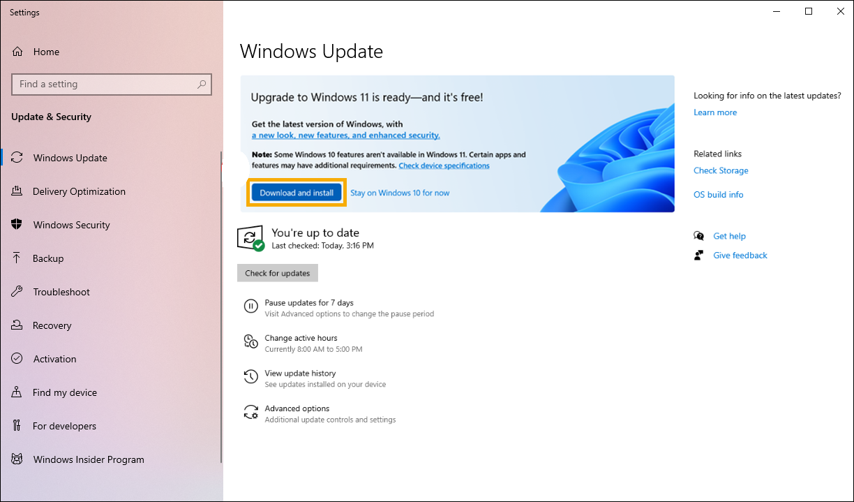 Download and install in Windows update on Windows 11.