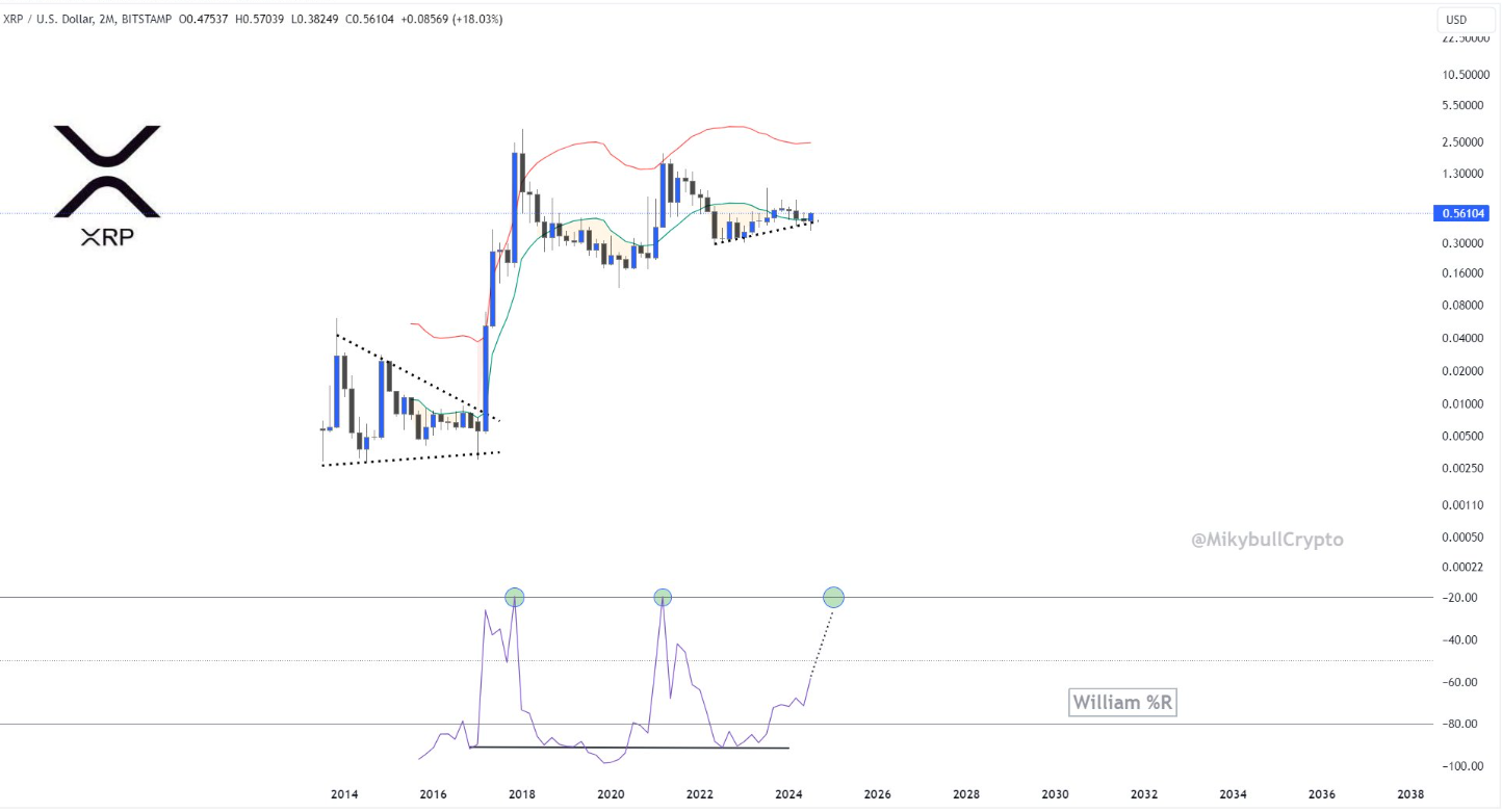 XRP Whales Snap Up Millions Of Coins As ‘Fear Of Missing Out’ Drives High XRP Buying Pressure