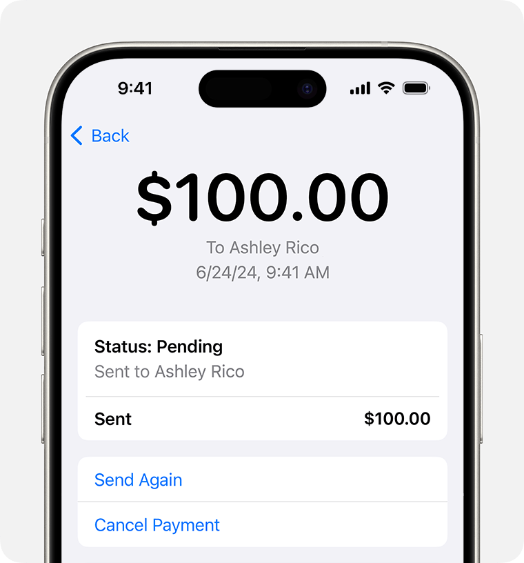 Apple Pay Pending - Explained 7