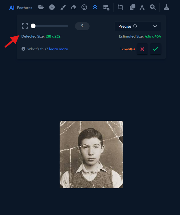 a screenshot of a image upscaling detected size