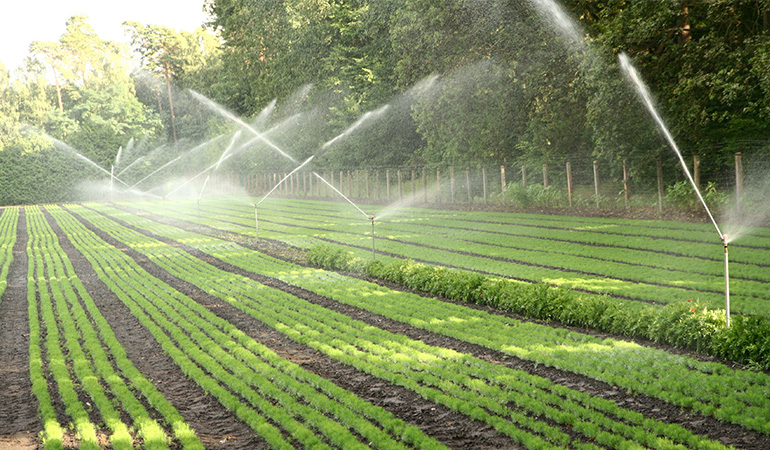 Smart Irrigation Systems