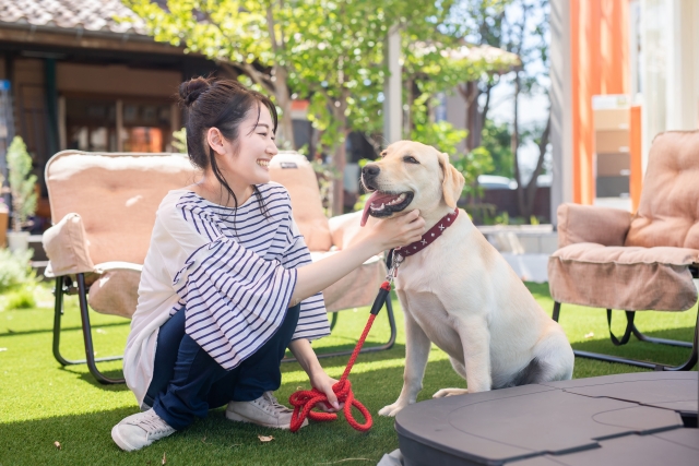 飼い主に撫ででもらい、嬉しそうな犬