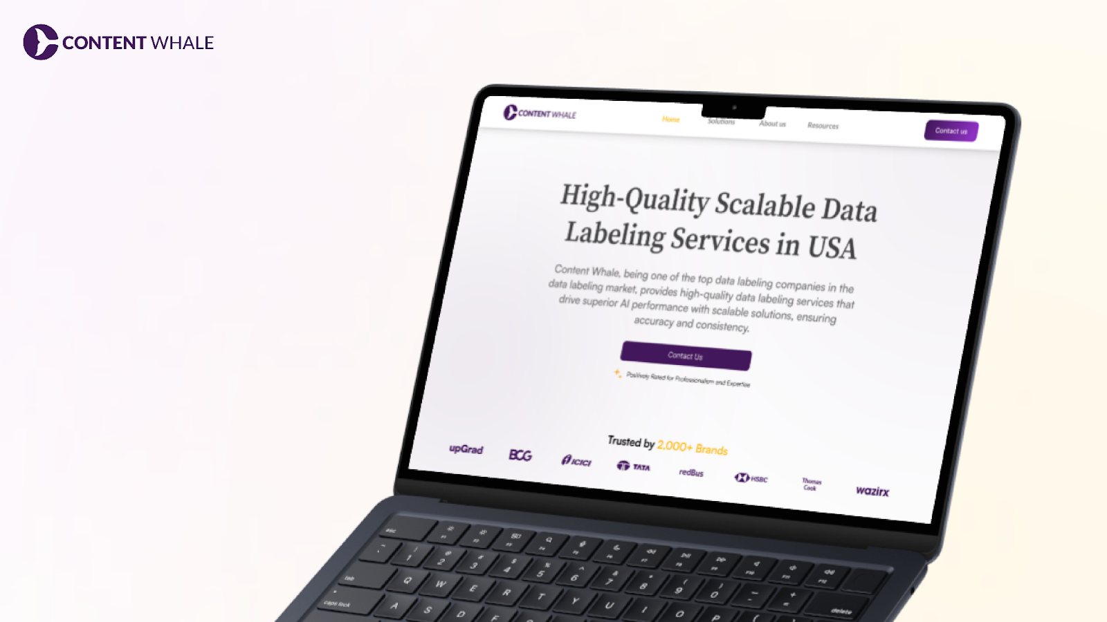 Content Whale, verified data labeling services