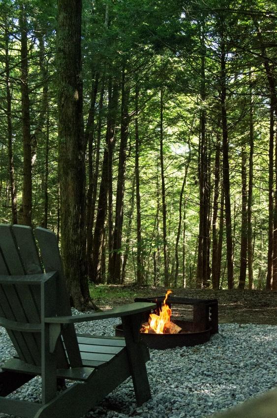 A chair and a fire pit in the woods  Description automatically generated