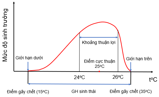 CHỦ ĐỀ 9. SINH TRƯỜNG VÀ PHÁT TRIỂN Ở SINH VẬTBÀI 35: CÁC NHÂN TỐ ẢNH HƯỞNG ĐẾN SỰ SINH TRƯỞNG VÀ PHÁT TRIỂN CỦA SINH VẬT1. ẢNH HƯỞNG CỦA MỘT SỐ NHÂN TỐ CHỦ YẾU ĐẾN SINH TRƯỞNG VÀ PHÁT TRIỂN CỦA SINH VẬTCâu 1: Quan sát Hình 35.1, hãy cho biết:Giới hạn nhiệt độ của cá rô phi ở Việt Nam.Khoảng nhiệt độ thuận lợi cho sự sinh trưởng và phát triển của cá rô phi.Đáp án chuẩn:- Giới hạn: 5,6oC và 42oC.- Thuận lợi: 23oC đến 37oC.Câu 2: Từ bảng 35.1, nêu ảnh hưởng của nhiệt độ đến tỉ lệ sống, số lá, độ dài, bề rộng của tán cây lan hồ điệp.Đáp án chuẩn:Từ 25oC đến 31oC, tỉ lệ sống, số lá, độ dài, bề rộng của tán cây lan hồ điệp có sự sinh trưởng mạnh mẽ nhất > Từ 18oC đến 24oC > Từ 32oC đến 35oC.Câu 3: Quan sát Hình 35.2, cho biết ý nghĩa của sự phân tầng thực vật trong rừng mưa nhiệt đới đối với thực vật.Đáp án chuẩn:Đáp ứng nhu cầu khác nhau về ánh sáng của các loài thực vật.Câu 4: Cho biết dấu hiệu của trẻ bị còi xương do thiếu ánh sáng.Đáp án chuẩn:Trán dô, cong cột sống lưng, nổi rõ các xương sườn, phình to tại cổ tay và khuỷu tay, bụng trướng, chân cong.Mở rộng: Vì sao việc tắm nắng vào sáng sớm có lợi cho sự sinh trưởng và phát triển của trẻ nhỏ?Đáp án chuẩn:Vì ánh nắng buổi sáng sớm ít gây hại cho da, tăng cường chuyển hóa vitamin D.Câu 5: Quan sát các Hình từ 34.4 đến 35.7, hãy cho biết những hậu quả xảy ra đối với thực vật, động vật và con người khi thiếu nước?Đáp án chuẩn:Cây bị héo, hạt đậu không nảy mầm; con người có dấu hiệu mệt mỏi, sốt,...Câu 6: Em hãy lấy ví dụ về vai trò của nước đối với thực vậtĐáp án chuẩn:Nếu không có đủ nước, hạt của cây đậu sẽ không thể nảy mầm.Câu 7: Quan sát Hình 35.7, 35.8, 35.9, cho biết sự khác nhau về hình thái giữa cây thiếu dinh dưỡng, cây thừa dinh dưỡng và cây đủ dinh dưỡng.Đáp án chuẩn:- Thiếu dinh dưỡng: phát triển chậm, thấp, lá vàng úa.- Thừa dinh dưỡng: phát triển mạnh, cao vượt mức, lá dễ rụng.- Đủ dinh dưỡng: phát triển bình thường, cao vừa phải, lá xanh tốt.Câu 8: Chế độ dinh dưỡng có liên quan đến sự phát triển về thể trạng của các em bé trong Hình 35.10 như thế nào?Đáp án chuẩn:- Hình a. Thiếu dinh dưỡng: trẻ bị cói xương, suy dinh dưỡng.- Hình b. Đủ dinh dưỡng: trẻ phát triển bình thường.- Hình c. Thừa dinh dưỡng: trẻ bị thừa cân, béo phì.Luyện tập: Hãy phân tích một ví dụ để chỉ ra sự ảnh hưởng của chất dinh dưỡng đến sự sinh trưởng và phát triển của sinh vật.Đáp án chuẩn:Ví dụ: Gà Đông Tảo khi được chăm sóc tốt, gà mái nặng 5 – 6 kg trong khoảng 5 – 6 tháng, nếu chăm sóc không tốt, gà mái chỉ có thể đạt tối đa 3 kg/con.2. ỨNG DỤNG SINH TRƯỞNG VÀ PHÁT TRIỂN TRONG THỰC TIỄNQuan sát Hình 35.11, trả lời các Câu sau:Câu 9: Mô hình xen canh có ý nghĩa gì đối với người nông dân? Đáp án chuẩn:Hạn chế sâu bệnh, tác dụng cải tạo, không làm cho đất trồng bị suy thoái; giúp tận dụng nguồn sống phù hợp với các đặc tính sinh trưởng và phát triển của mỗi loại cây; tăng tính đa dạng của các loại cây trồng; tăng năng xuất.Câu 10: Hãy cho biết ý kiến của em về việc sử dụng chất kích thích điều hoà sinh trưởng và phát triển ở thực vật.Đáp án chuẩn:Rất cần thiết để tiết kiệm thời gian và cho ra năng suất, lợi nhuận cao.Luyện tập: Hãy kể tên một số ứng dụng sinh trưởng và phát triển trong chăn nuôi, trồng trọtĐáp án chuẩn:Trồng cây theo mô hình xen canh, luân canh, trồng màu,...; sử dụng chất kích thích sinh trưởng cho cây trồng, các chế phẩm sinh học trong chăn nuôi.Câu 11: Quan sát Hình 35.12 và 35.13, hãy cho biết một số ứng dụng được sử dụng nhằm nâng cao năng suất vật nuôi.Đáp án chuẩn:Xây dựng chuồng trại theo mô hình khép kín, có máng ăn uống tự động, quạt thông khí; tạo giống lai; điều chỉnh nhiệt độ buồng nuôi.Câu 12: Quan sát Hình 35.14, hãy chỉ ra giai đoạn muỗi gây hại cho con người.Đáp án chuẩn:Giai đoạn muỗi trưởng Câu 13: Trong Hình 35.15 ở giai đoạn nào trong vòng đời bướm có khả năng phá hoại mùa màng?Đáp án chuẩn:Sâu bướm Luyện tập: Hai bạn lớp em đang tranh luận về cách diệt trừ muỗi. Bạn thứ nhất cho rằng chỉ nên diệt muỗi trưởng thành vì chỉ ở giai đoạn này chúng mới gây hại. Còn bạn thứ hai cho rằng nên diệt chúng cả ở các giai đoạn khác. Hãy cho biết ý kiến của em về vấn đề này.Đáp án chuẩn:Chúng ta nên diệt muỗi ở tất cả các giai đoạn vì trong các giai đoạn, muỗi cũng có khả năng gây hại gián tiếp cho con người.Vận dụng:Vì sao khi nuôi cá trong bể kính, mỗi khi thay nước mới người ta chỉ thay khoảng 2/3 lượng nước, giữ lại 1/3 lượng nước cũ trong bể?Để tăng năng suất cho cây thanh long, người ta thường thắp đèn chiếu sáng cho cây vào ban đêm, em hẫy cho biết cơ sở khoa học của việc làm này là gì?Đáp án chuẩn:- Vì giữ lại môi trường sống quen thuộc cho các sinh vật trong bể cá, đảm bảo sự thay đổi các nhân tố môi trường diễn ra từ từ.- Cơ sở khoa học: chiếu sáng ban đêm sẽ giúp cây sinh trưởng, phát triển tốt hơn → Thu hoạch sớm → Tiết kiệm thời gian, lợi nhuận cao.BÀI TẬP