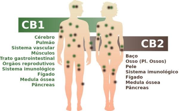 Diagrama

Descrição gerada automaticamente