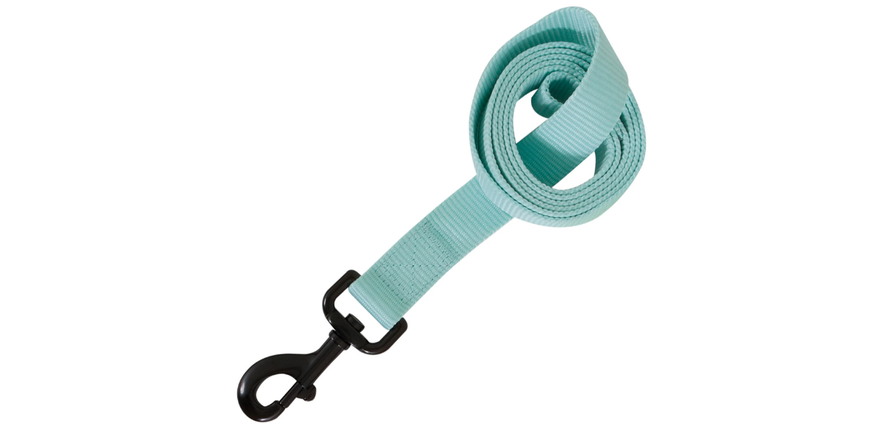 Aspen Pet Glow In The Dark Leash