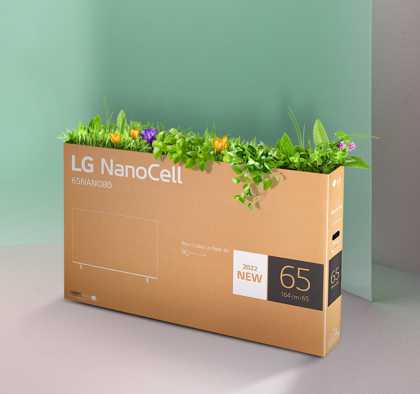 LG NanoCell TV's recyclable box with flowers and plants sprouting from the top of the box.